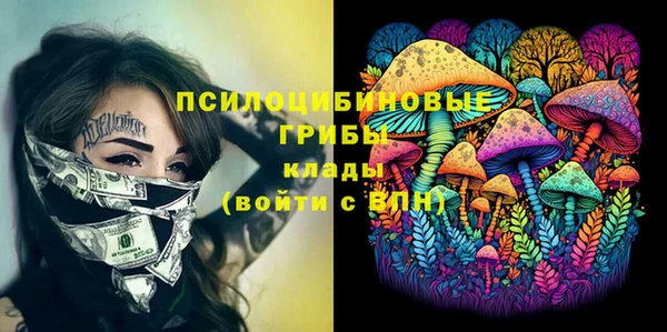 крисы Абинск