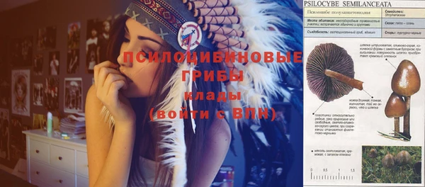 крисы Абинск