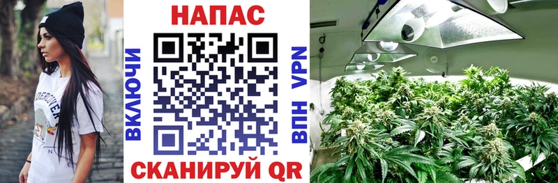 МЕГА tor Астрахань Канабис VHQ
